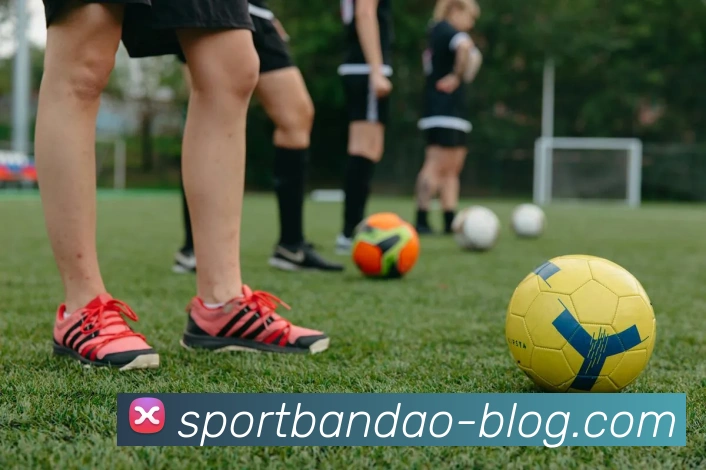 半岛体育APP 高清赛事图